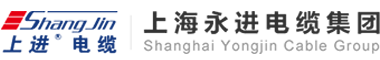天津偉思實(shí)驗(yàn)儀器科技有限公司